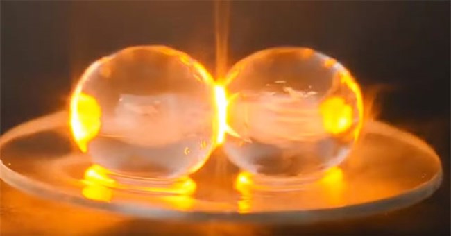 Điều kỳ lạ xảy ra khi bạn cho nho vào lò vi sóng