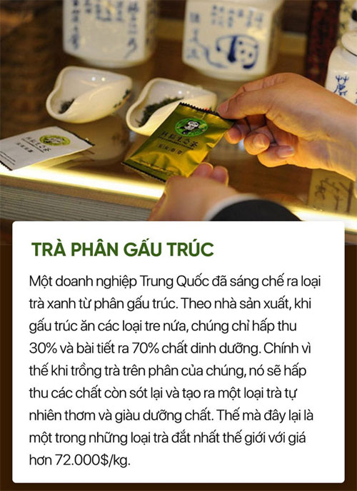 Có những loại đồ uống mà nghe thành phần thôi đã muốn... chạy xa ngàn cây số