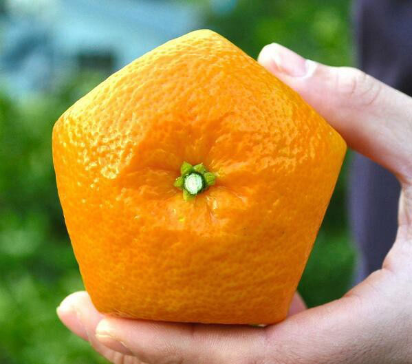14 phát minh ở Nhật Bản khiến bạn nhận ra chúng ta và họ dường như cách nhau cả thế kỷ
