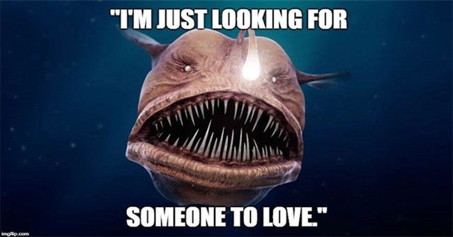 Những loài sinh vật dưới đáy biển tìm thấy "một nửa" của mình bằng cách nào?