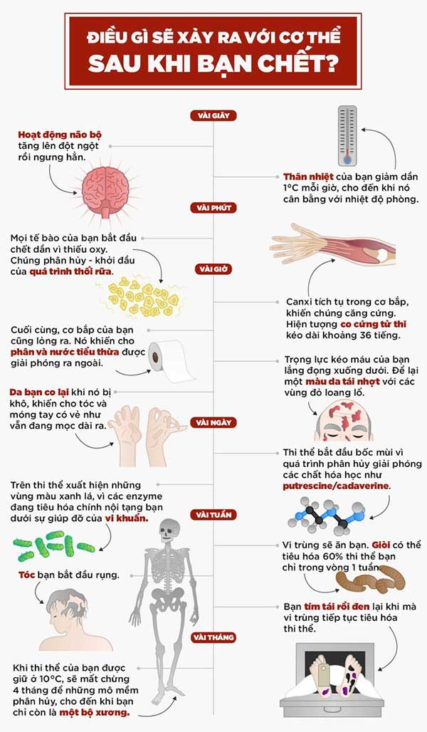 Đây là phần bất tử của con người, ngay cả khi thi thể đã phân hủy