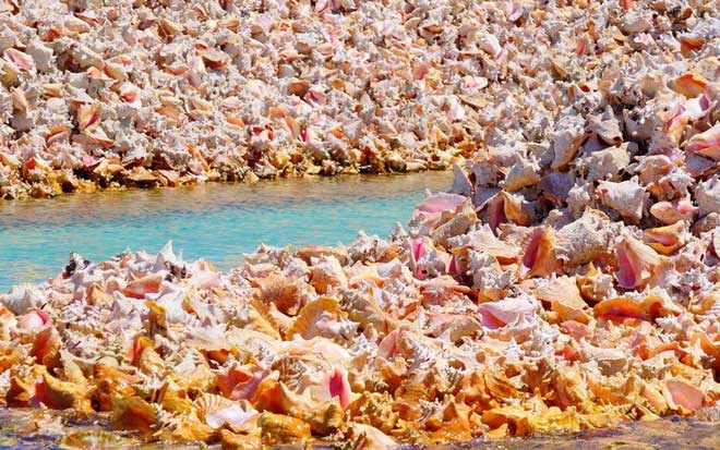 Hòn đảo nhân tạo có một không hai: Toàn bộ đảo được làm từ vỏ ốc xà cừ chất thành đống