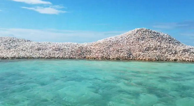 Hòn đảo nhân tạo có một không hai: Toàn bộ đảo được làm từ vỏ ốc xà cừ chất thành đống