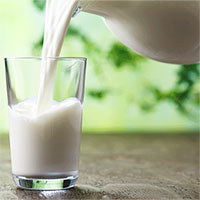 Tại sao người châu Á khó hấp thụ sữa hơn những chủng tộc khác?