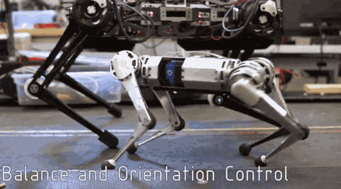 Robot 4 chân đầu tiên trên thế giới có thể nhảy Santo chất như dân hiphop