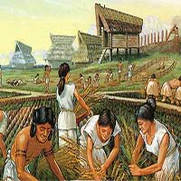 Nông nghiệp đã suýt chút nữa phá hủy nền văn minh nhân loại