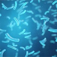 Tìm ra vi khuẩn “ăn ô nhiễm”, phát ra điện