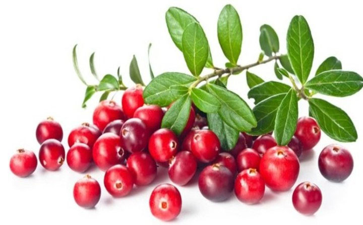 Những loại quả mọng mang đến lợi ích tuyệt vời cho sức khỏe