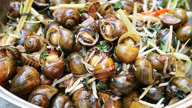 7 món ăn tiềm ẩn nguy cơ nhiễm sán mà chúng ta cần cẩn thận