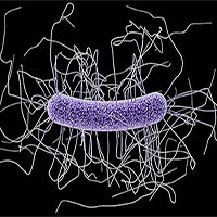 7 loại vi khuẩn kháng thuốc nguy hiểm