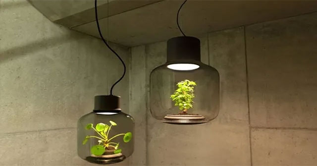 Những phát minh tuyệt vời thân thiện với môi trường... và cả con người!