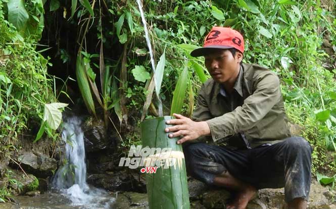 Khám phá rừng tre khổng lồ trên đỉnh Ngók Cung
