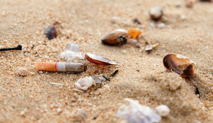 Sau tất cả, chúng ta đã có hòn đảo 