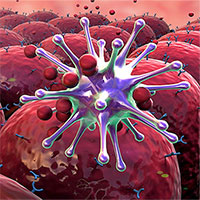 Kích hoạt tế bào NK để tăng hệ miễn dịch tự nhiên cho người ung thư