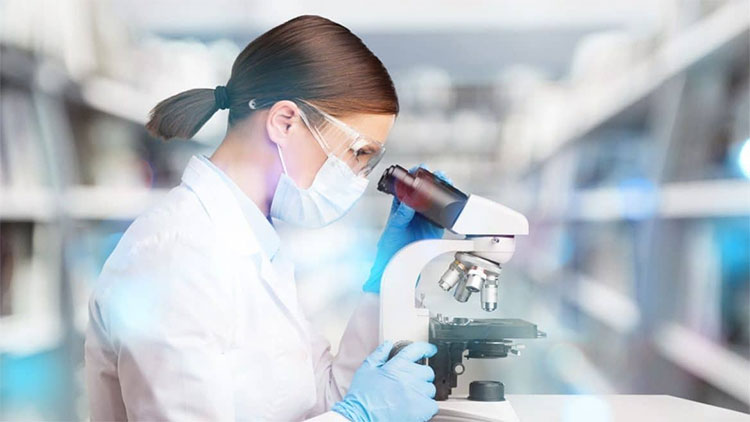 Giới khoa học Israel tái tạo nguyên mẫu các protein 3,7 tỷ năm tuổi
