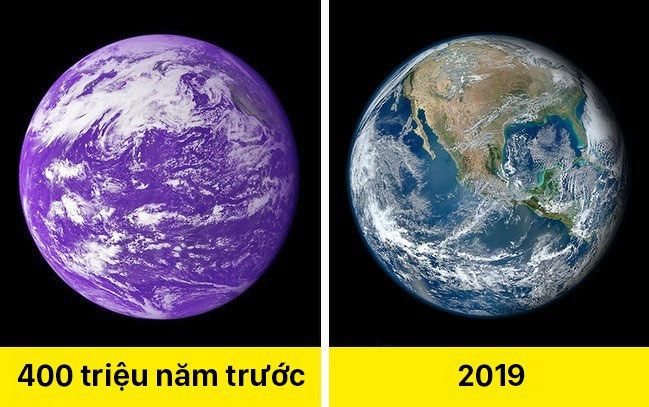 Những sự thật khác lạ về thế giới khiến ai cũng há hốc mồm
