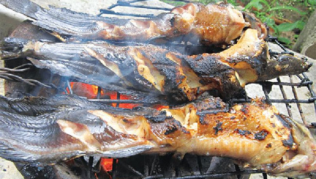 6 loại cá có cho tiền cũng đừng vội ăn ngay kẻo bệnh tật kéo đến, có cả ung thư