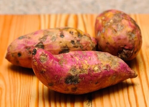 Những thực phẩm có chất độc tự nhiên - lưu lý khi chế biến