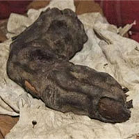 Giật mình ngón tay “khủng” có thật của người khổng lồ