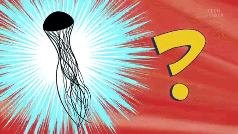 Động vật có nọc độc gây chết người nhanh nhất thế giới