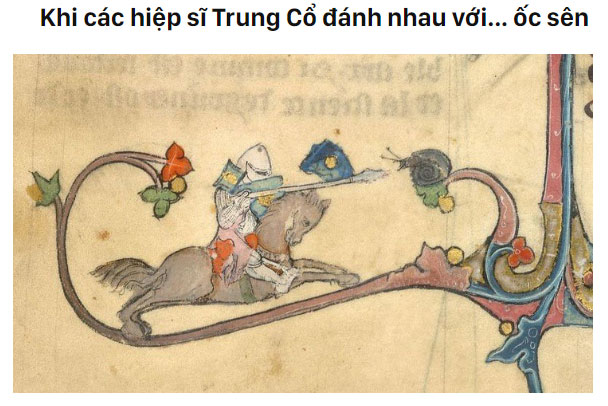 Các hiệp sĩ thời trung cổ chiến đấu với ốc sên