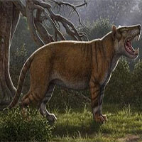 Phát hiện hóa thạch 22 triệu năm của thú săn mồi cổ đại