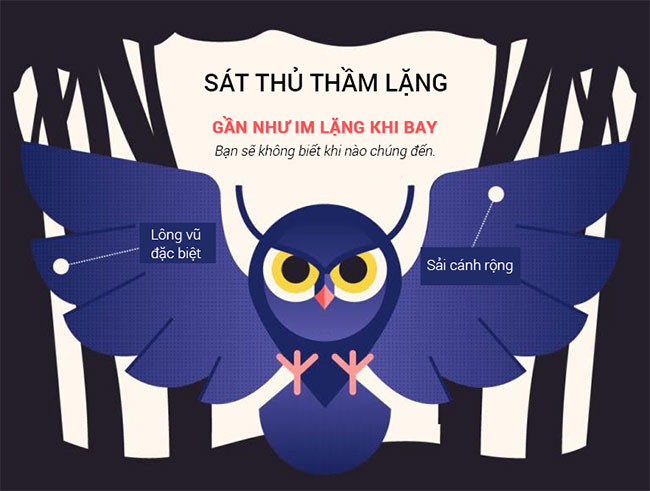 Loài động vật ma mị nhất hành tinh