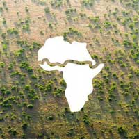 Điều chưa từng có ở châu Phi: Bức "tường" xanh khổng lồ dài hơn 8.000km trải dài qua 20 nước