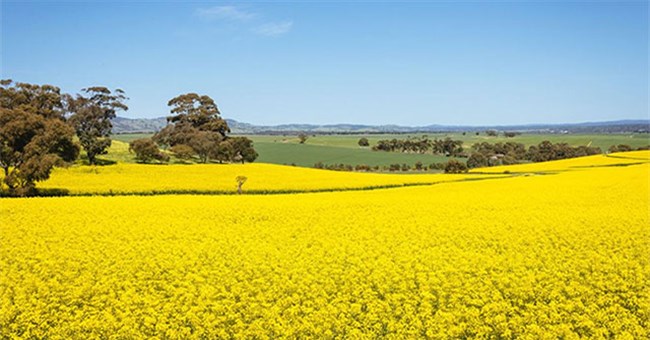 Tan chảy với những nơi rực rỡ sắc màu nhất Trái Đất