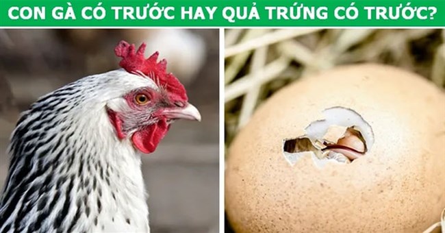 Lời giải cho những câu hỏi thách thức nhiều thế hệ