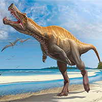 Không chỉ do thiên thạch, lý do chính khiến khủng long tuyệt chủng mới thực bất ngờ