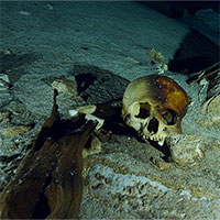 Phát hiện sọ người và màn hiến tế rùng rợn ở mộ cổ Maya