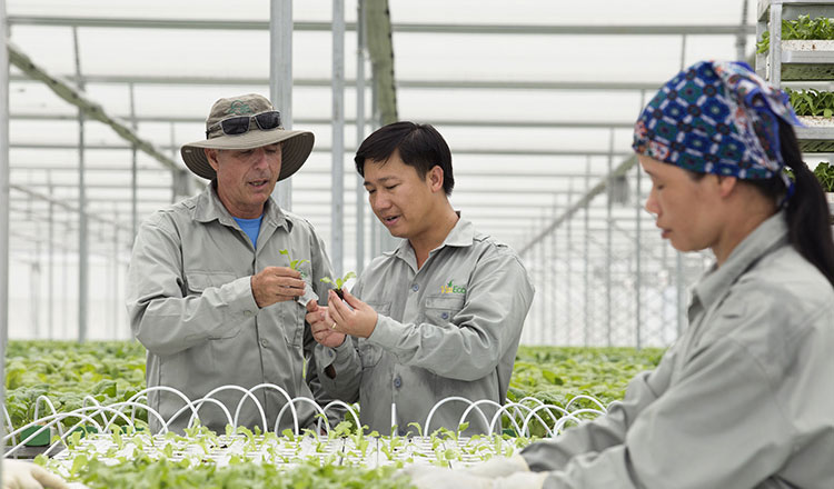 Chuyên gia Nhật bày cách nâng thu nhập cho nông dân Việt