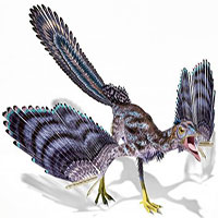 Phát hiện hóa thạch loài khủng long bay giống chim nhất