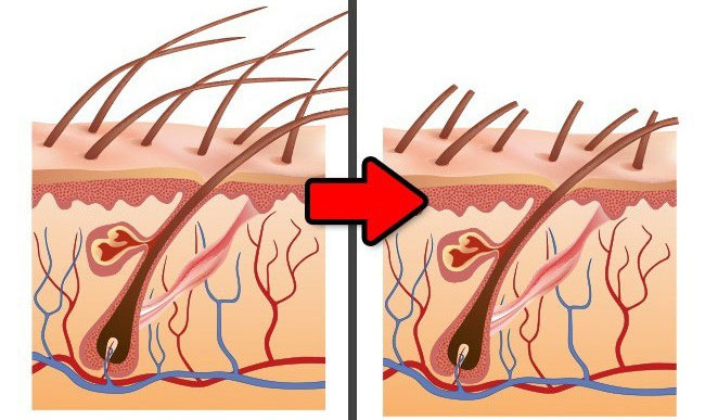 Những sự thật ai cũng tưởng là đúng nhưng hóa ra sai một cách toàn diện