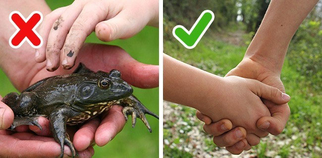 Những sự thật ai cũng tưởng là đúng nhưng hóa ra sai một cách toàn diện