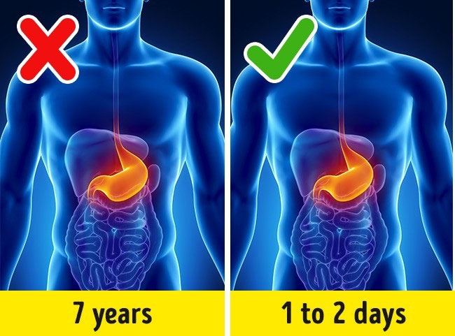 Những sự thật ai cũng tưởng là đúng nhưng hóa ra sai một cách toàn diện