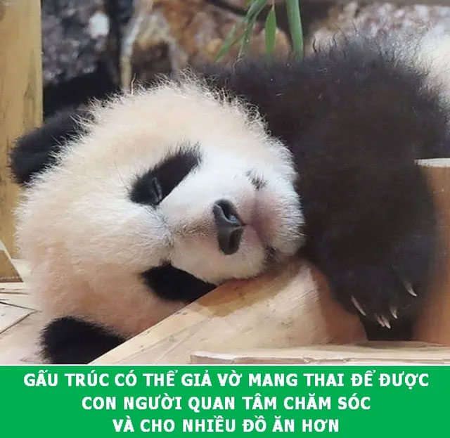 Khám phá những sự thật khoa học đầy thú vị