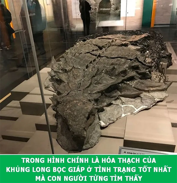 Khám phá những sự thật khoa học đầy thú vị