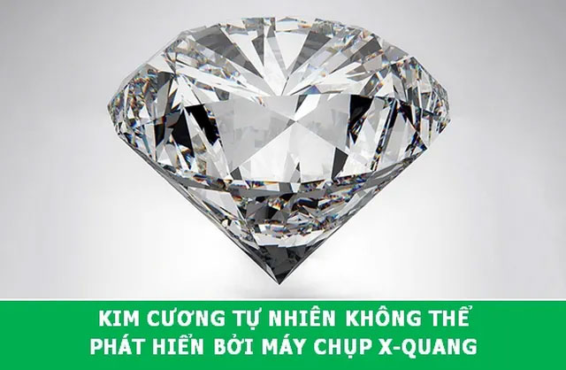 Khám phá những sự thật khoa học đầy thú vị