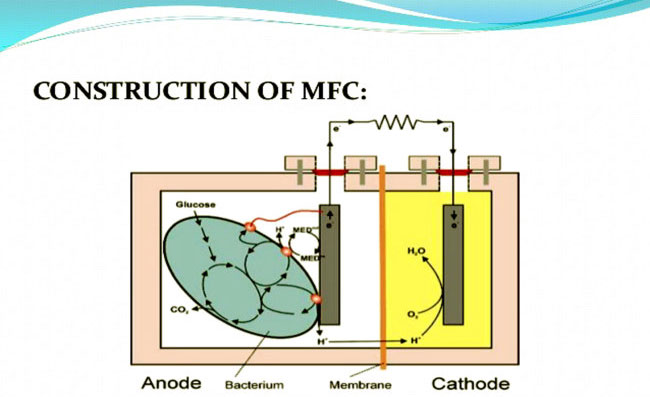 Thiết bị lặn tự sạc pin nhờ... phân cá