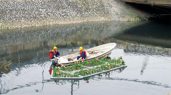 Nước sông Tô Lịch 