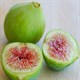 Những điều cần biết khi ăn quả sung