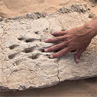 Dấu vân tay 3.000 năm hé lộ cách xây dựng của người cổ đại