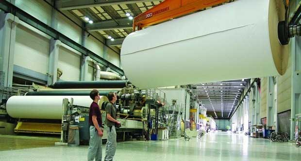 Người ta có thể sản xuất được bao nhiêu giấy từ một cái cây?