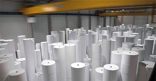 Người ta có thể sản xuất được bao nhiêu giấy từ một cái cây?