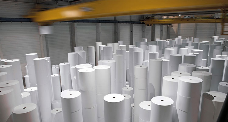 Người ta có thể sản xuất được bao nhiêu giấy từ một cái cây?
