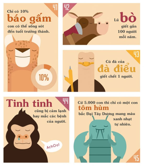 Những sự thật khiến bạn phải đau khổ vì chẳng biết gì về thế giới động vật