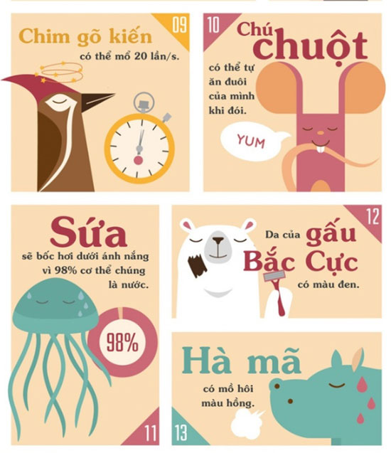 Những sự thật khiến bạn phải đau khổ vì chẳng biết gì về thế giới động vật