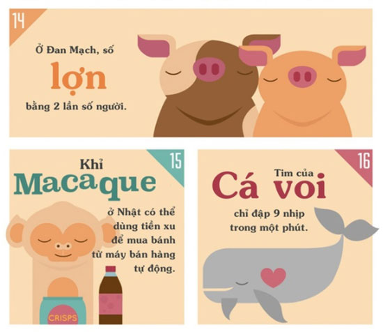 Những sự thật khiến bạn phải đau khổ vì chẳng biết gì về thế giới động vật